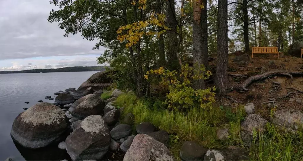 Участок в Ленинградская область, Выборгский район, Приморское ... - Фото 2