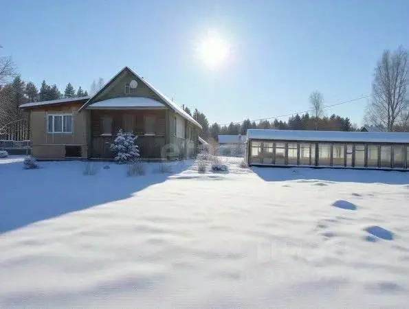 Дом в Новгородская область, Чудовский район, Грузинское с/пос, д. ... - Фото 2