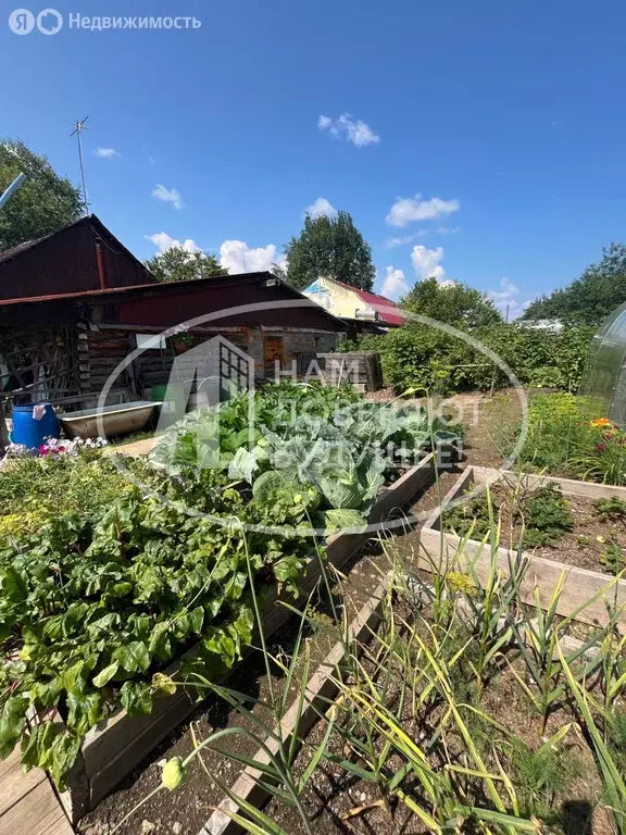 Дом в Лысьва, улица Белинского, 48 (57.3 м) - Фото 1