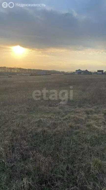 Участок в муниципальный округ Омский район, село Усть-Заостровка (9 м) - Фото 1