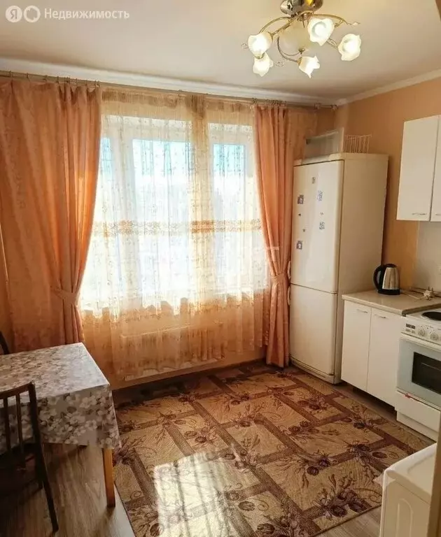 1-комнатная квартира: Московская область, городской округ Домодедово, ... - Фото 1