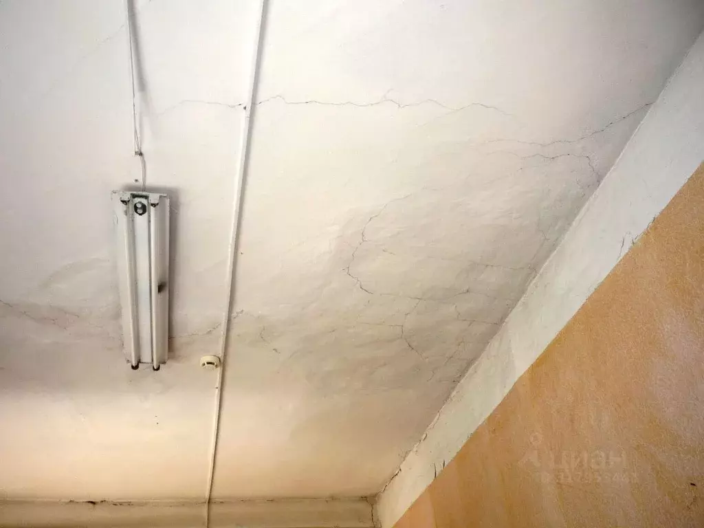 Помещение свободного назначения в Брянская область, Новозыбков ... - Фото 0