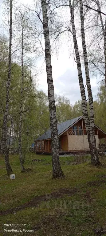 Дом в Алтай, Усть-Коксинский район, с. Усть-Кокса ул. Аргучинского, 70 ... - Фото 1