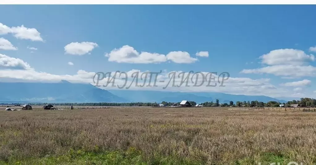 Участок в Алтай, Усть-Коксинский район, с. Чендек Зеленая ул. (18.0 ... - Фото 0