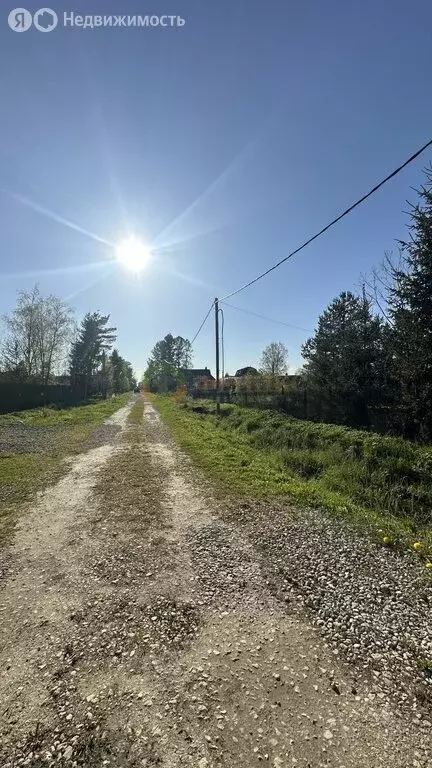 Участок в посёлок Сусанино, 5-я линия, 2 (11.74 м) - Фото 0