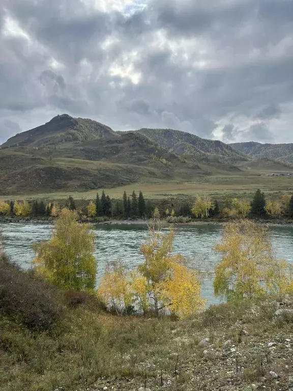 Участок в Алтай, Горно-Алтайск пл. Ленина (80.0 сот.) - Фото 2