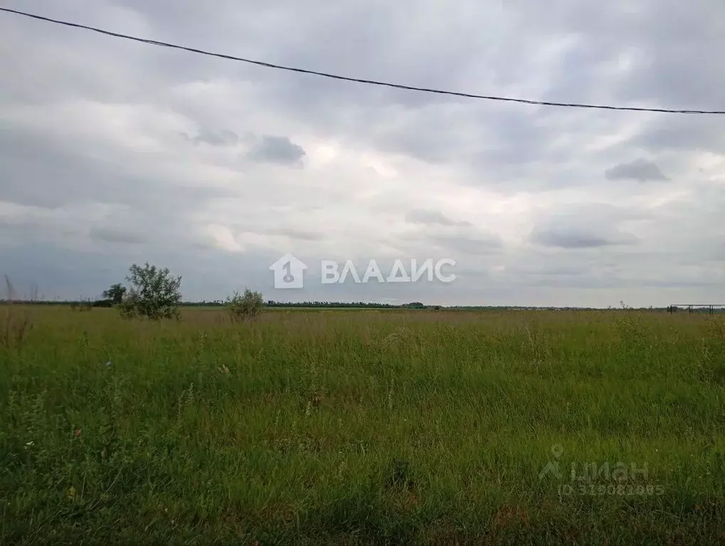 Участок в Саратовская область, Балаковский район, с. Натальино ул. ... - Фото 0