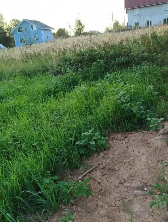 Участок в Москва Подольская Слобода ДНП,  (7.0 сот.) - Фото 2