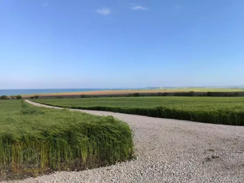 Участок в Крым, Ленинский район, Челядиновское с/пос, с. Челядиново ... - Фото 1