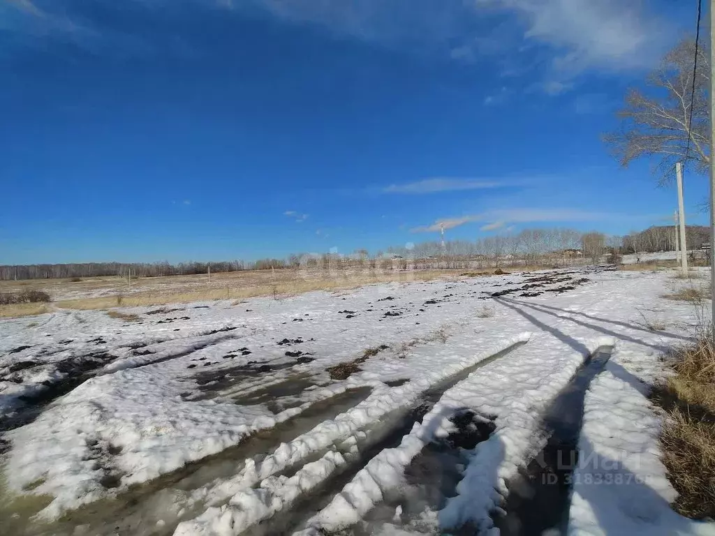 Участок в Курганская область, Шадринский муниципальный округ, с. Ключи ... - Фото 1