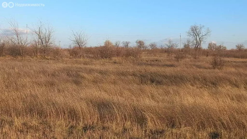 Участок в хутор Масаловка, Кооперативная улица (14 м) - Фото 0