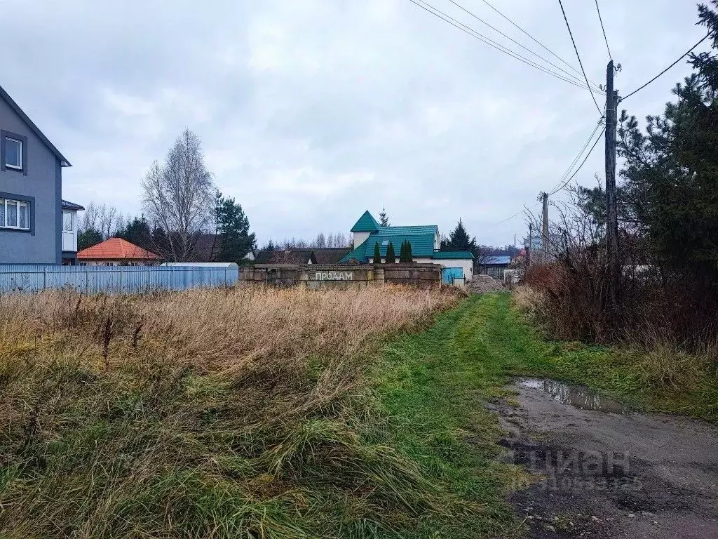 Участок в Калининградская область, Зеленоградск пос. Сосновка, ул. ... - Фото 1