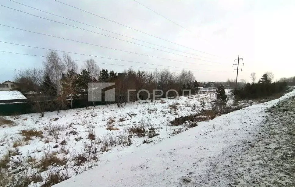 Участок в Новосибирская область, Новосибирский район, Кудряшовский ... - Фото 0