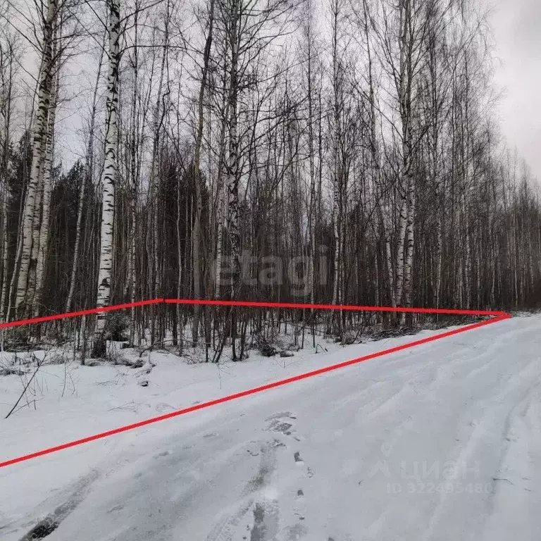 Участок в Вологодская область, Камыш садоводческое товарищество  (12.0 ... - Фото 1