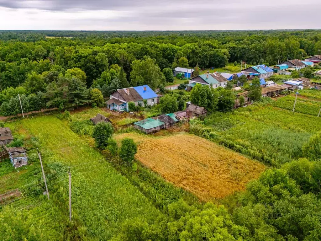 Дом в Хабаровский край, Имени Лазо район, с. Черняево ул. Маршала ... - Фото 2