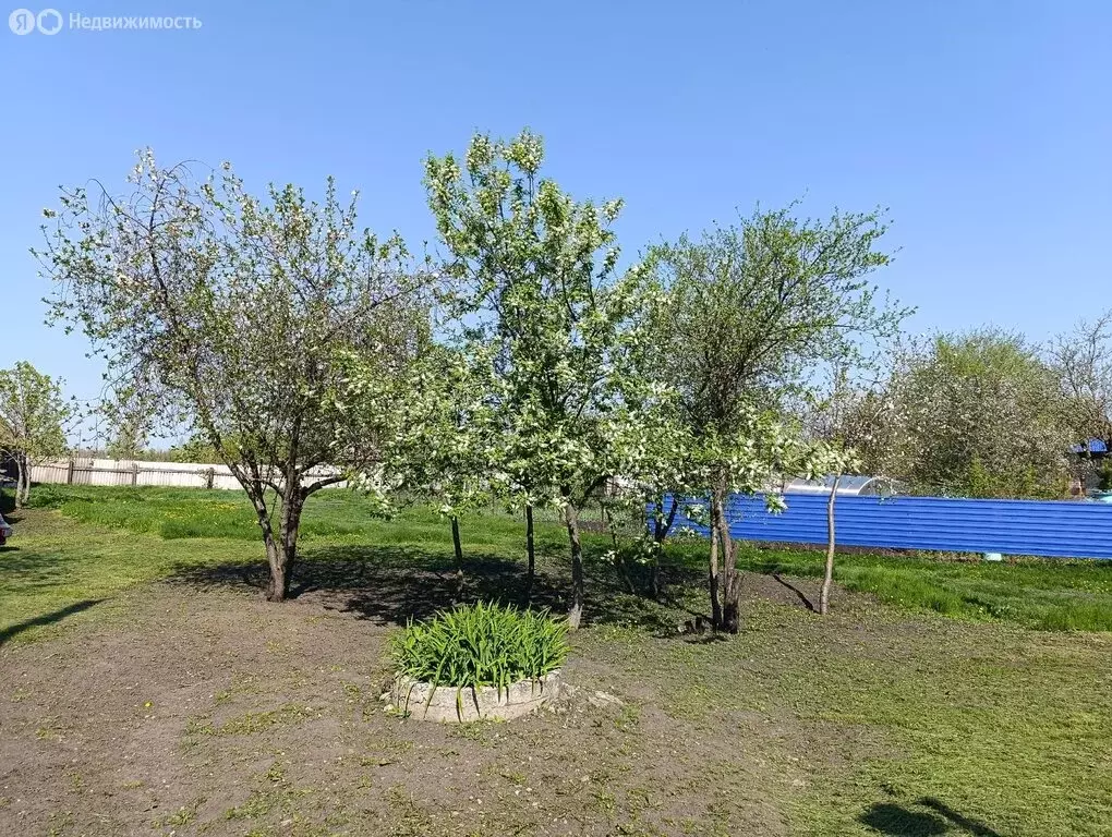 Дом в село Ивановка, улица Ленина (72.7 м) - Фото 1