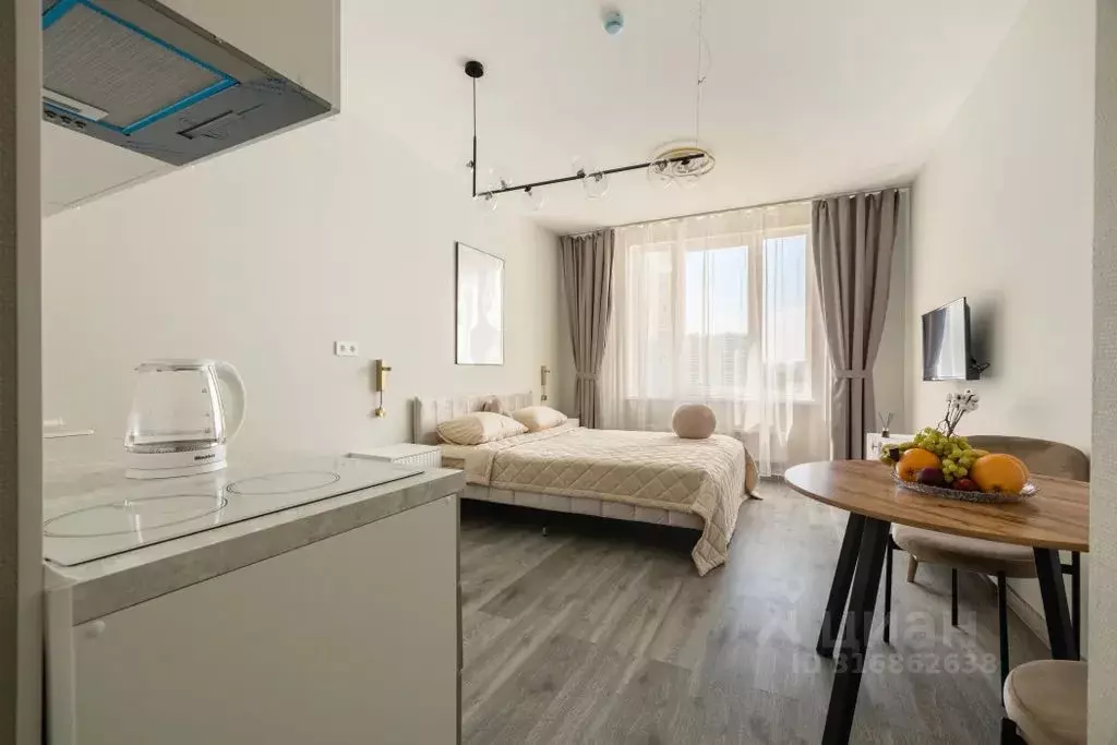 Студия Санкт-Петербург Витебский просп., 99к1 (30.0 м) - Фото 0