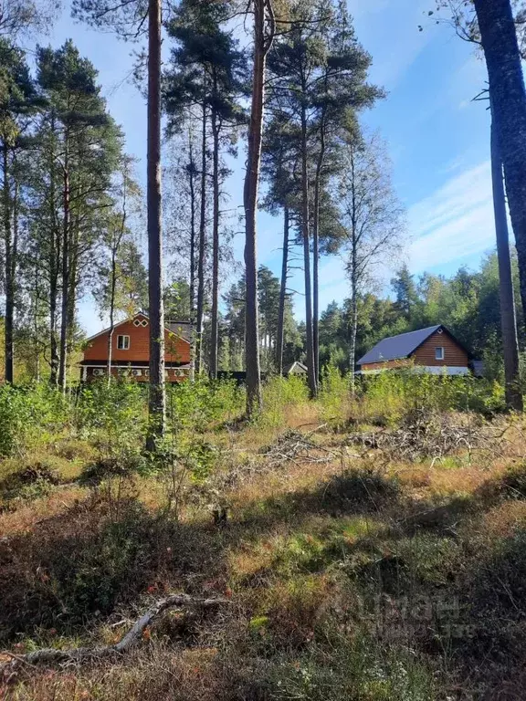 Участок в Ленинградская область, Выборгский район, Полянское с/пос, ... - Фото 0