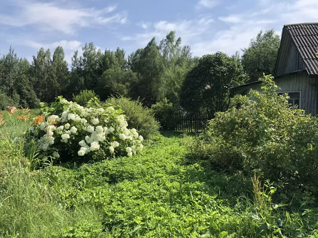 участок в смоленская область, смоленский муниципальный округ, . - Фото 1