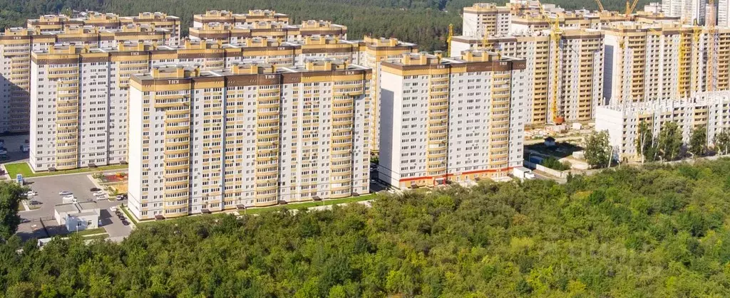 2-к кв. Воронежская область, Воронеж ул. Летчика Филипова, 6 (71.3 м) - Фото 1