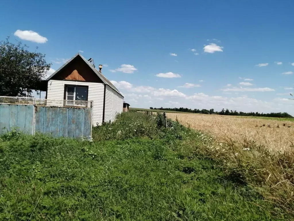 Участок в Краснодарский край, Выселковский район, Бейсугское с/пос, ... - Фото 1