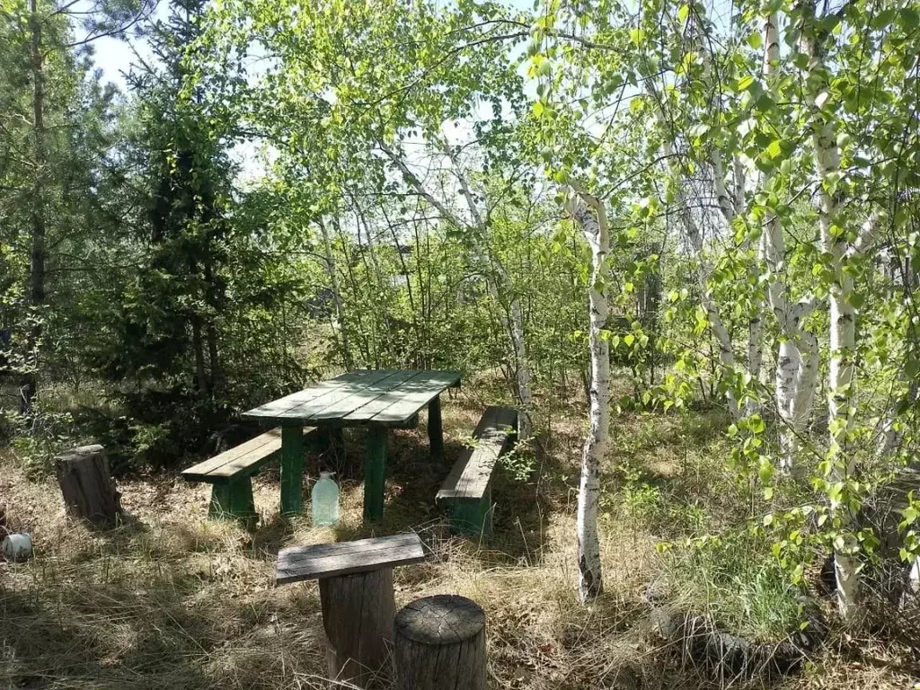 Участок в Саха (Якутия), Жатай городской округ, Жатай рп ул. 3-я Линия ... - Фото 1