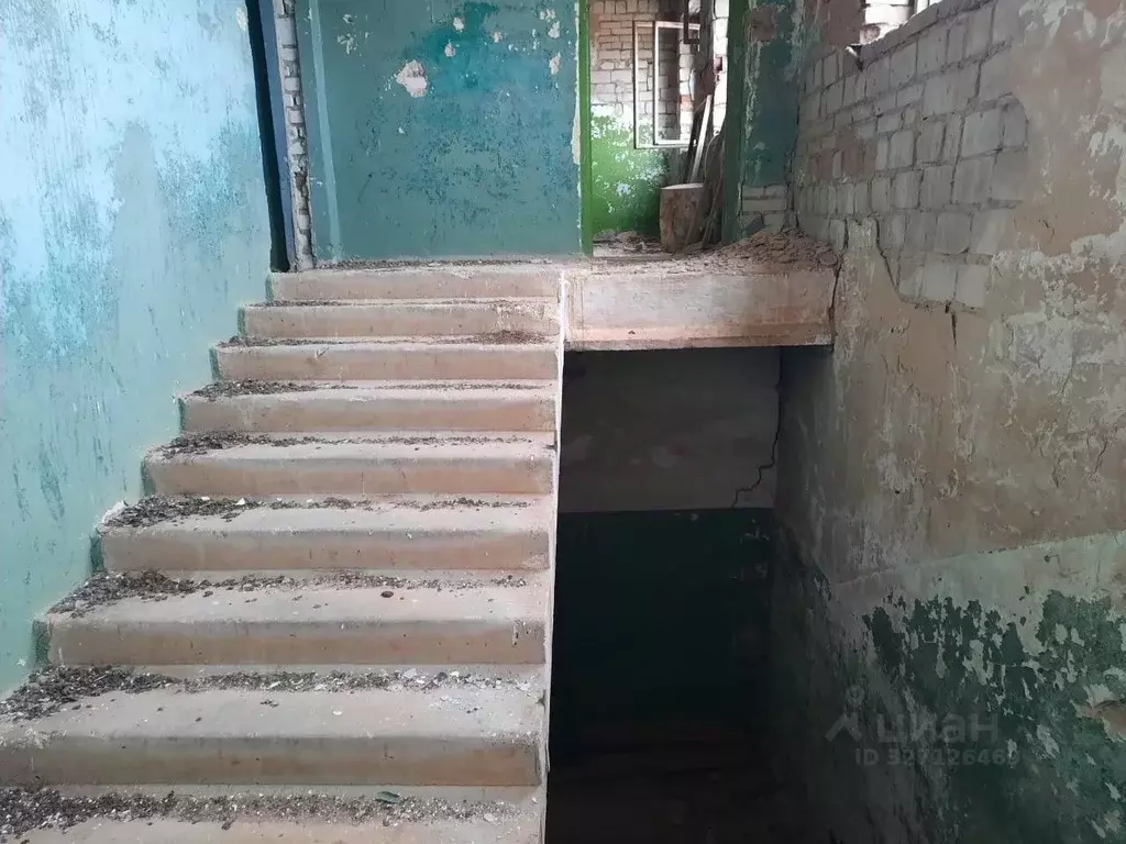 Помещение свободного назначения в Пермский край, Березники ... - Фото 2