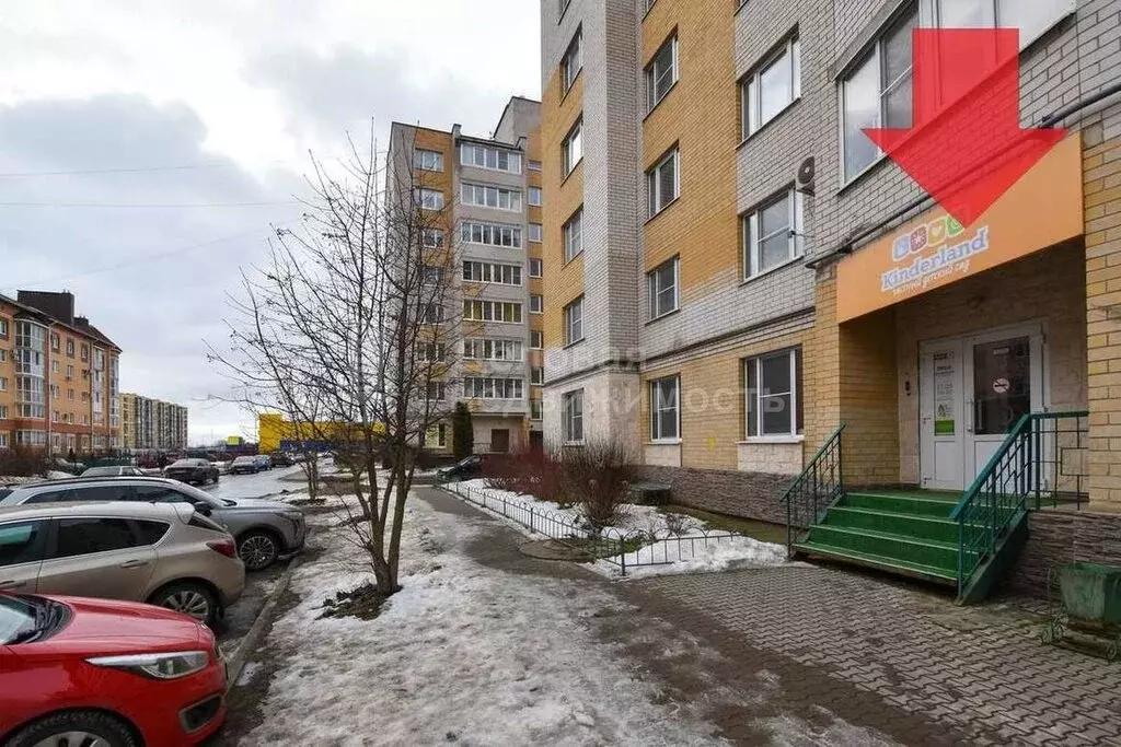 Помещение свободного назначения (164.1 м) - Фото 2