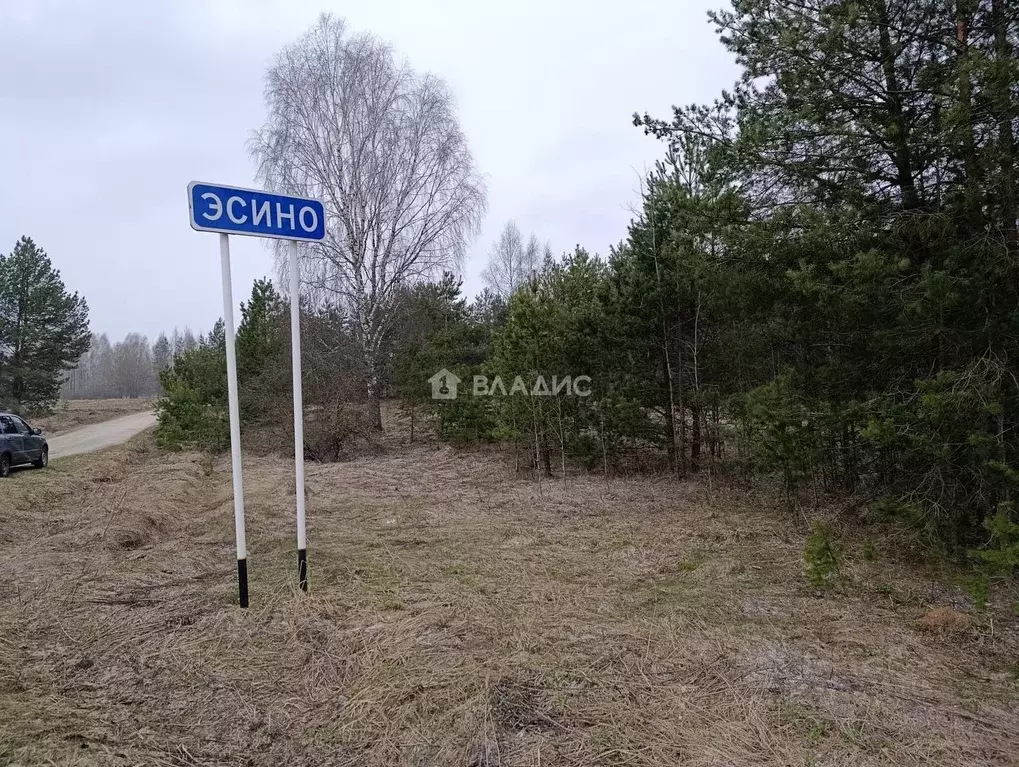 Участок в Владимирская область, Ковровский муниципальный округ, д. ... - Фото 1