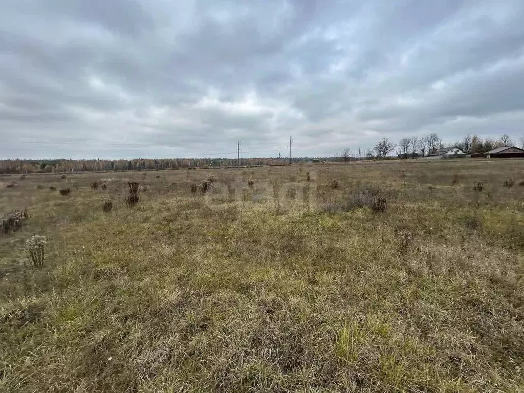 Участок в Брянская область, Брянский район, Нетьинское с/пос, пос. ... - Фото 2
