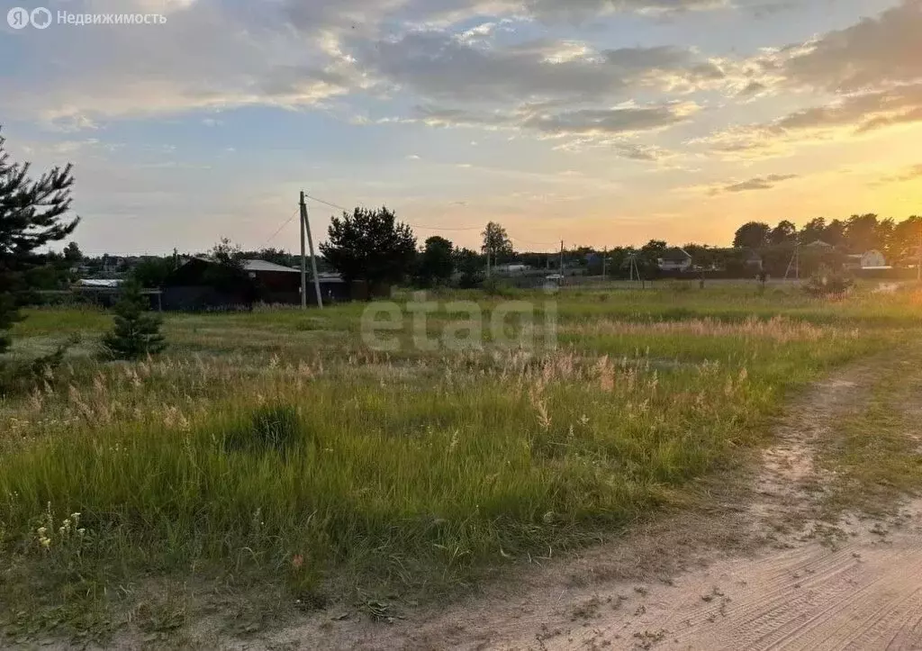 Участок в посёлок Новые Дарковичи, СДТ Болва (10000 м) - Фото 0