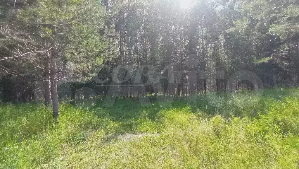 Участок 1,15 га (СНТ, ДНП) - Фото 1
