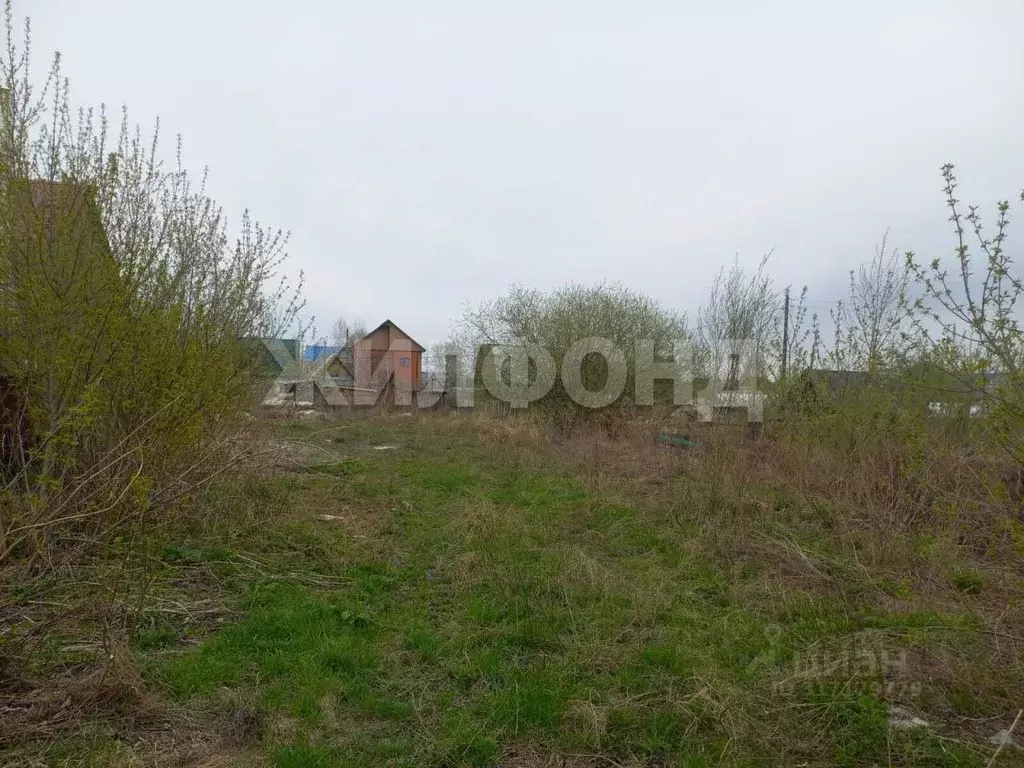Участок в Новосибирская область, Новосибирск Лилия СНТ, 715 (3.43 ... - Фото 1