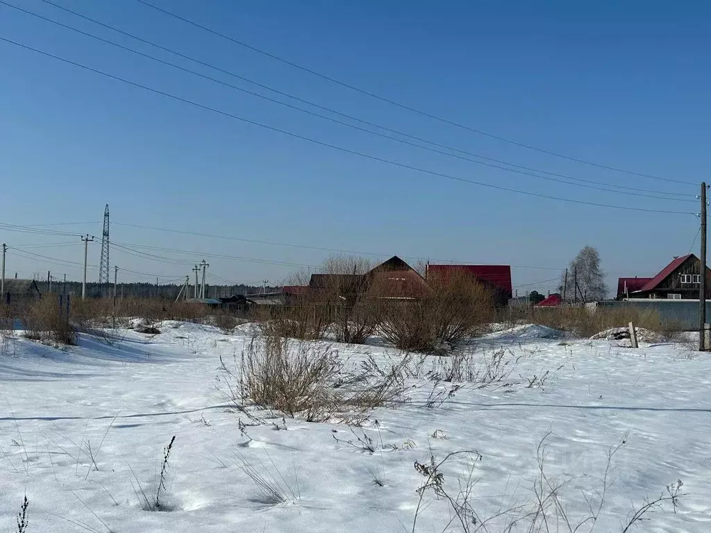 Участок в Курганская область, Кетовский муниципальный округ, с. ... - Фото 1