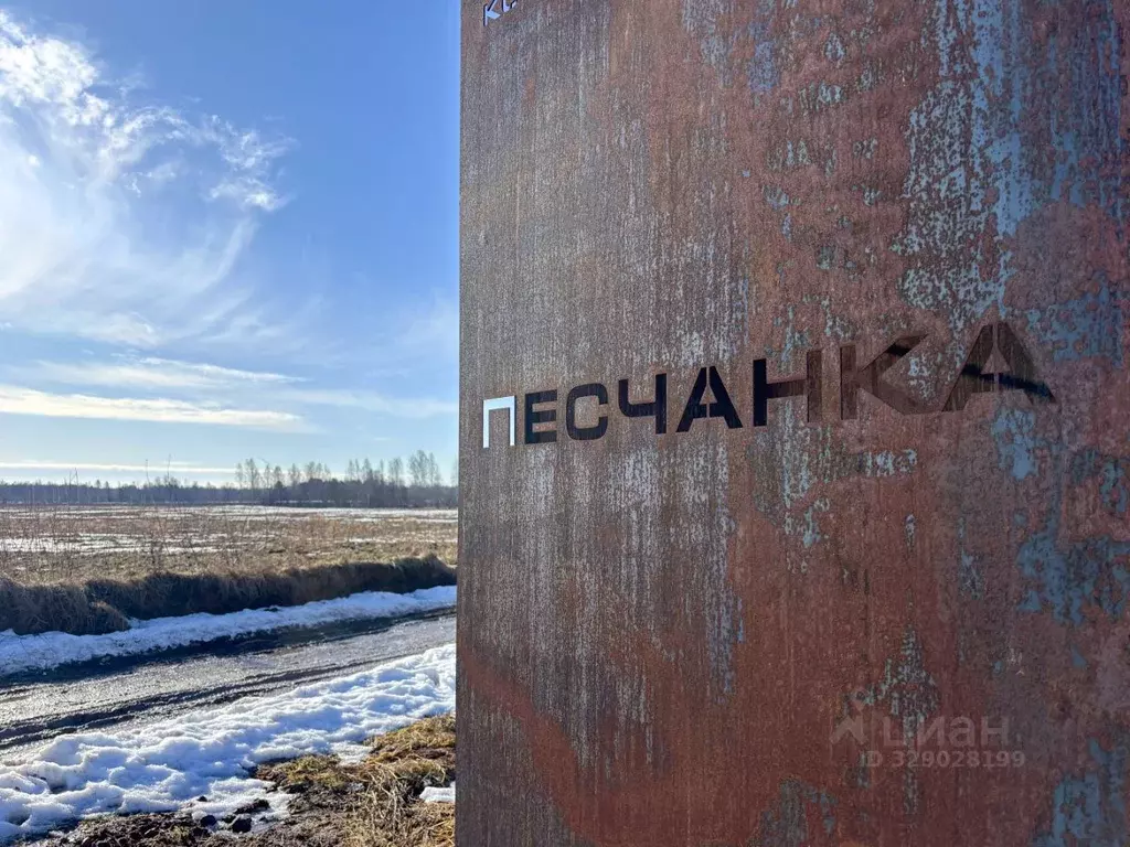 Участок в Псковская область, Псковский муниципальный район, Ядровская ... - Фото 1