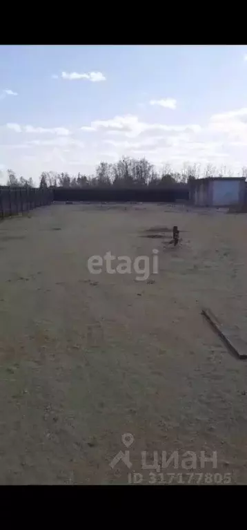 Участок в Амурская область, Благовещенск 5-я Стройка мкр, ул. ... - Фото 0