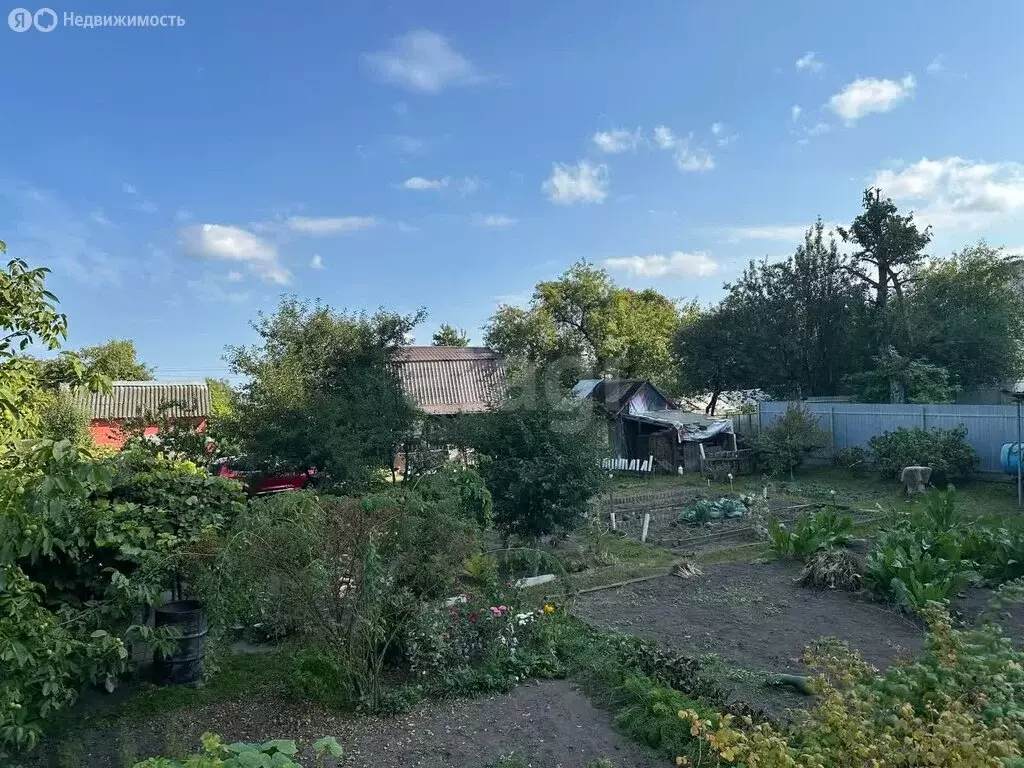 Участок в Брянск, садоводческое объединение Родина (9.36 м) - Фото 1
