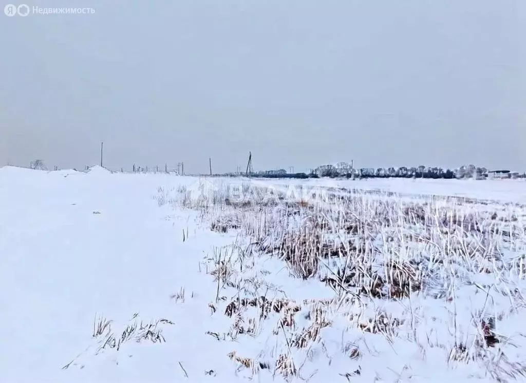 Участок в село Богословка, Полевая улица, 16 (10 м) - Фото 2