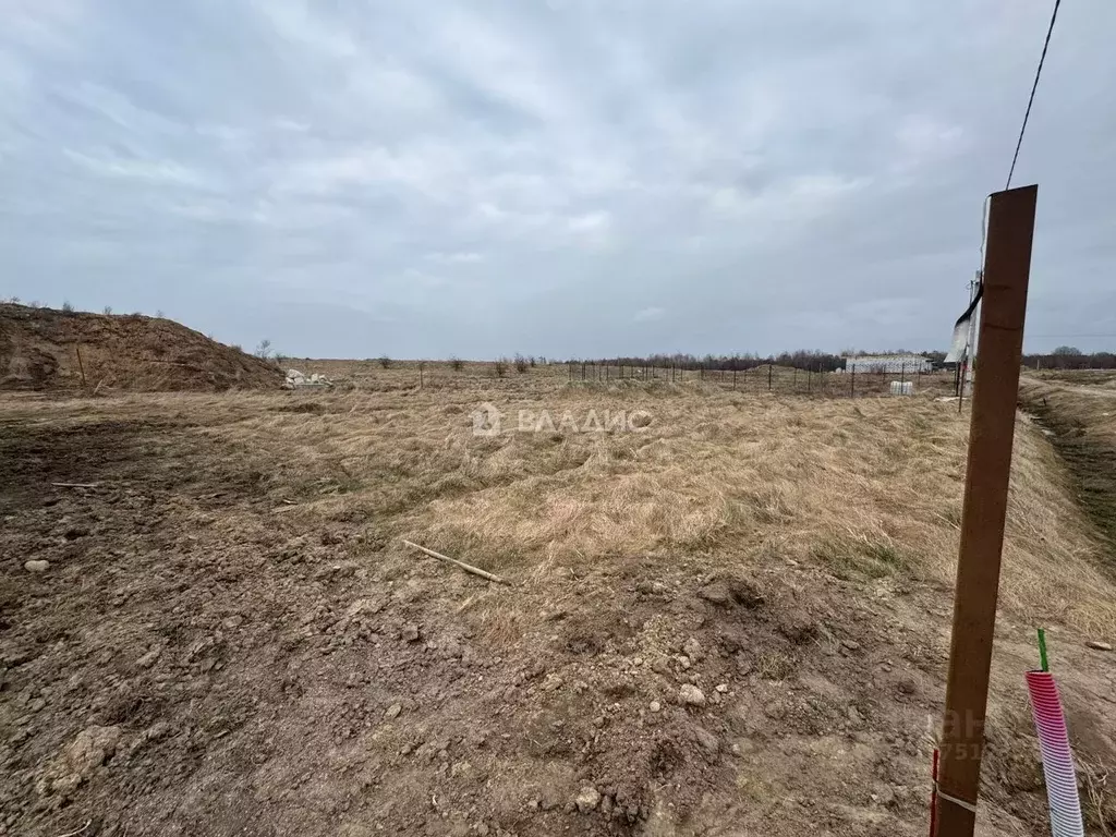 Участок в Калининградская область, Зеленоградский муниципальный округ, ... - Фото 1