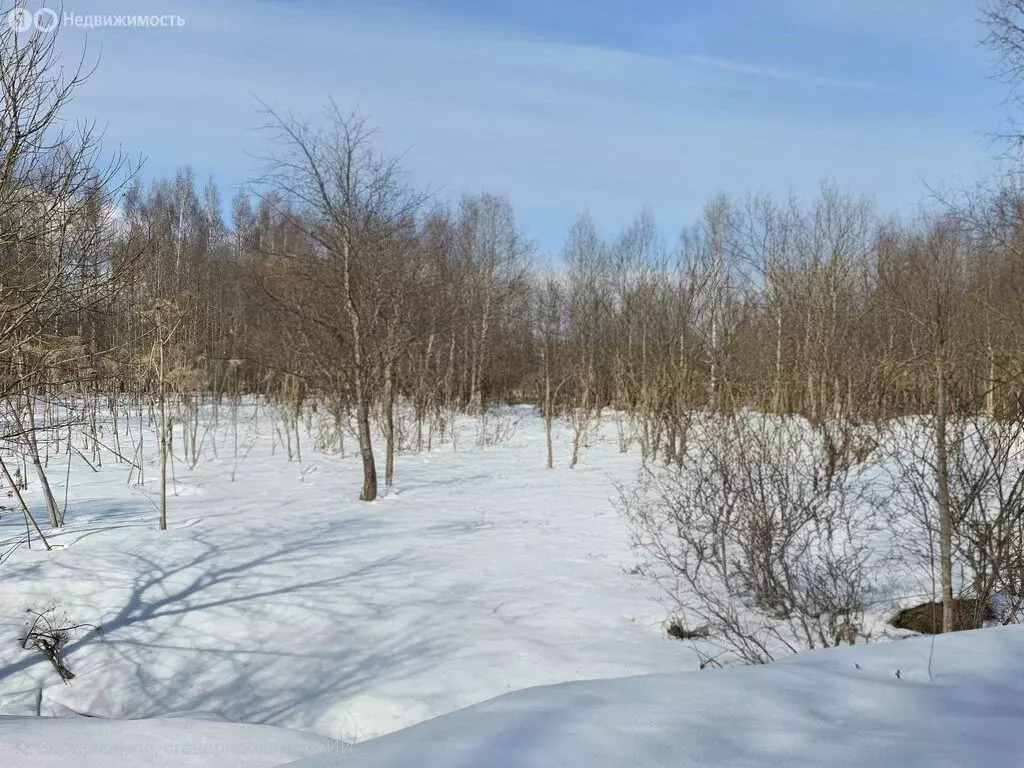 Участок в Тверская область, Кимрский муниципальный округ, деревня ... - Фото 2