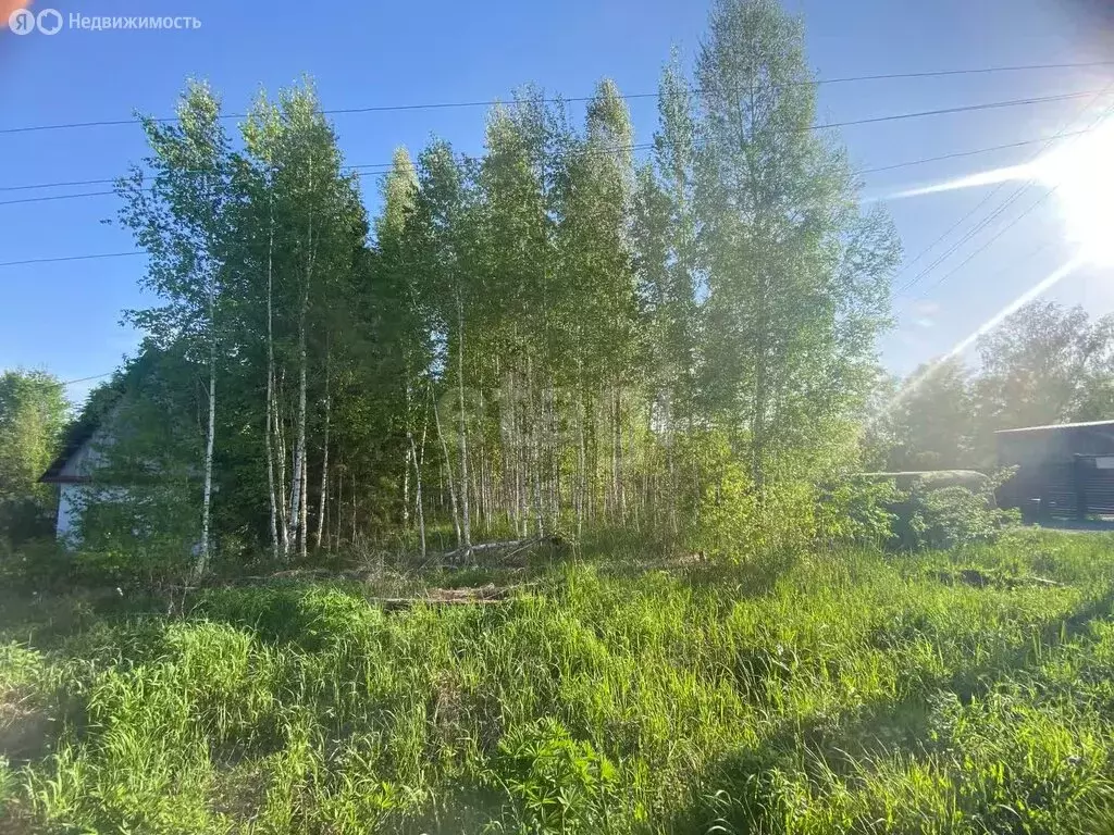 Участок в Барышевский сельсовет, садовое товарищество Ключи-1 (10 м) - Фото 1