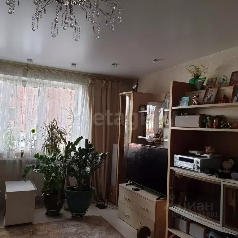 4-к кв. Новосибирская область, Новосибирск ул. Красина, 60 (80.0 м) - Фото 0
