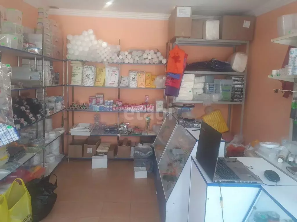 Помещение свободного назначения в Крым, Евпатория ул. ... - Фото 1