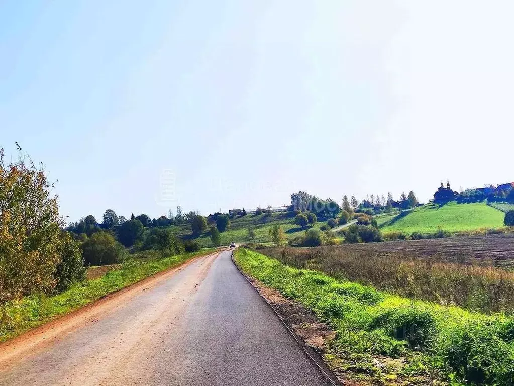 Участок в Новгородская область, Любытинское с/пос, д. Большие Светицы  ... - Фото 2