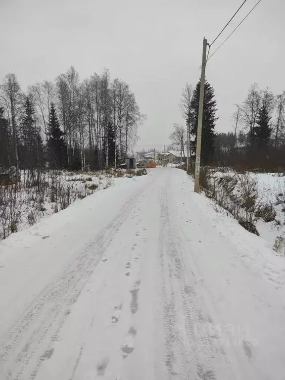 Участок в Ленинградская область, Всеволожский район, Агалатовское ... - Фото 1