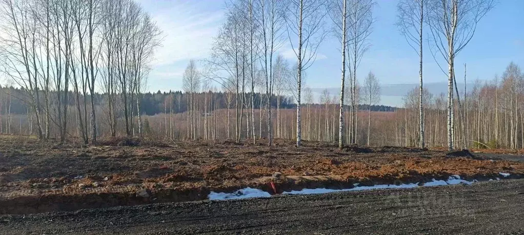 Участок в Московская область, Клин городской округ, Малахитовые дачи ... - Фото 0