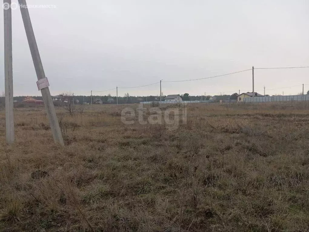 Участок в село Новая Усмань, улица Менделеева, 1 (4.89 м) - Фото 2