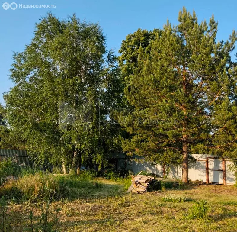 Дом в Нижнетавдинский район, СНТ Здоровье-2, 6-я улица (22 м) - Фото 0