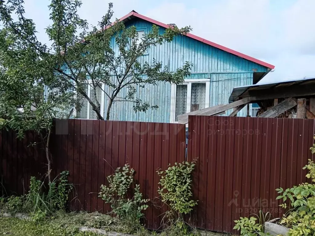 Дом в Новгородская область, Пестово Боровичская ул., 40 (64 м) - Фото 2