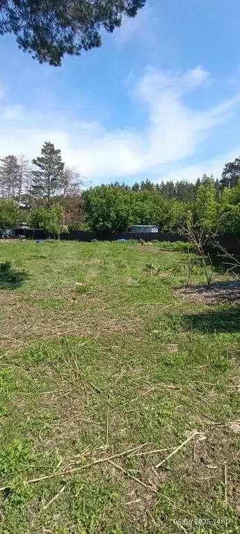 Участок 11 сот. (ИЖС) - Фото 0
